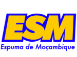 ESM logo low